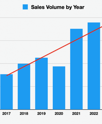 Vallarta/Nayarit 2023 Real Estate Report