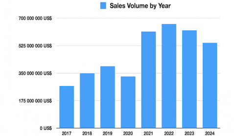 2024 Vallarta/Nayarit Real Estate Market in 8 Charts